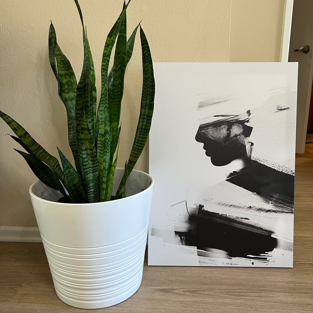 IKEA Canvas Wall Art